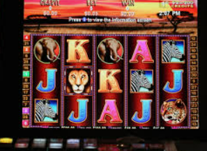 ayx大厅手机版登录入口2024最新版