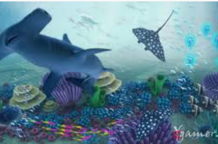 ayx大厅手机版登录入口2024最新版